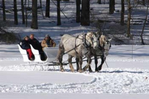 Hampton Inn By Hilton Geneseo image 22