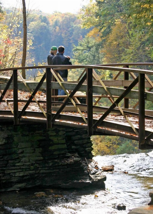 Hampton Inn By Hilton Geneseo image 23