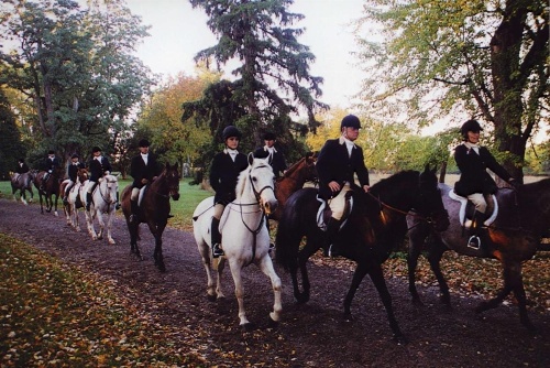 Hampton Inn By Hilton Geneseo image 24